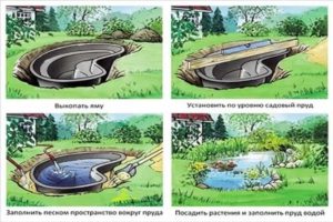 Водоем на участке своими руками: Изучаем инструкции